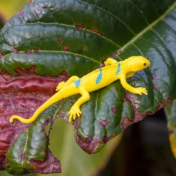 Rex London Super stretchy gecko (assorted - SINGLE) Discount