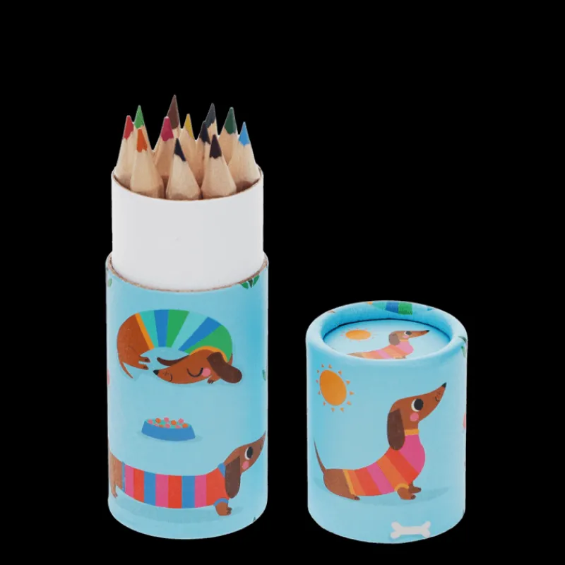 Rex London Tube of colouring pencils - Sunny Sausage Dog Outlet