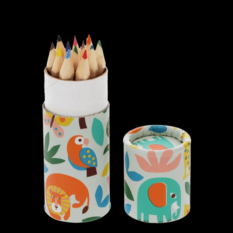 Rex London Tube of colouring pencils - Wild Wonders Fashion