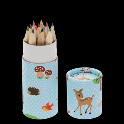 Rex London Tube of colouring pencils - Woodland Creatures Best