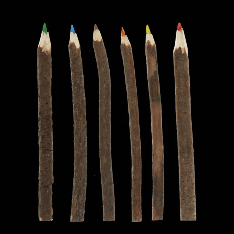 Rex London Twig colouring pencils (set of 6) New